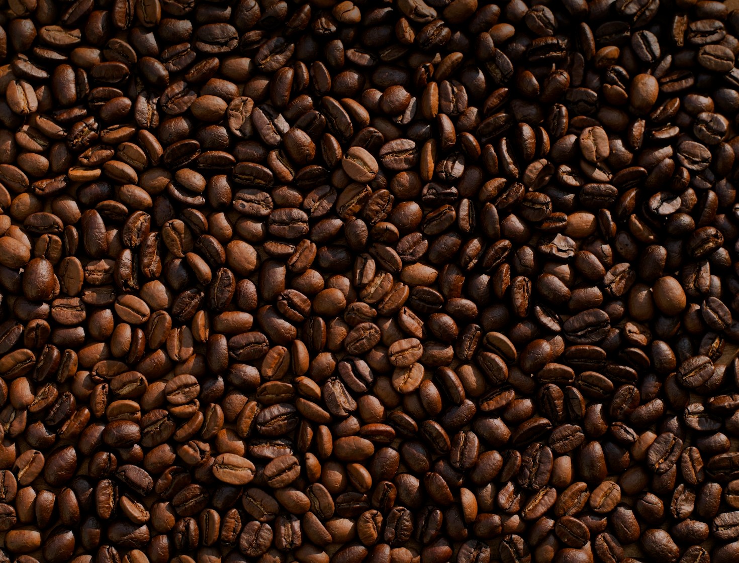 The History of Coffee: A Journey Through Time